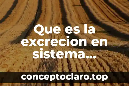 Que es la excrecion en sistema digestivo