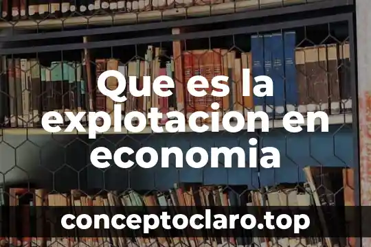 Que es economia en logistica 5 Que es la explotacion en economia
