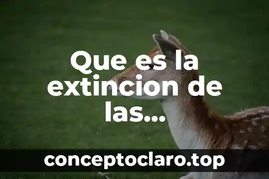 Que es la extincion de las obligaciones en mexico