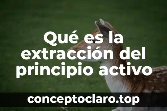 Que es acapital activo 6 Qué es la extracción del principio activo
