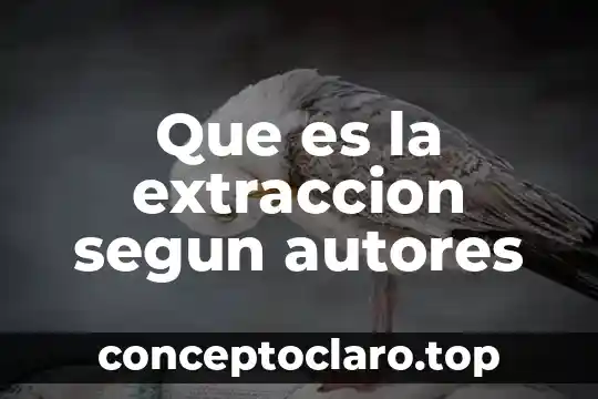Que es el color segun autores 8 Que es la extraccion segun autores