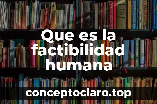 Qué es un estudio de factibilidad y prefactibilidad 5 Que es la factibilidad humana