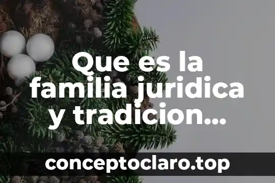 Que es la familia juridica y tradicion juridica