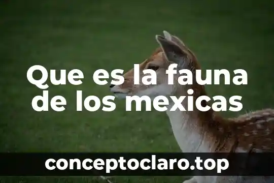 Que es la fauna de los mexicas