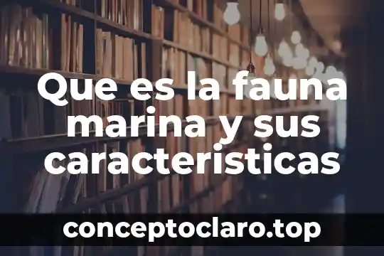 Que es la fauna marina y sus caracteristicas