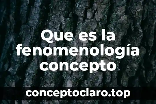 Que es la fenomenología concepto