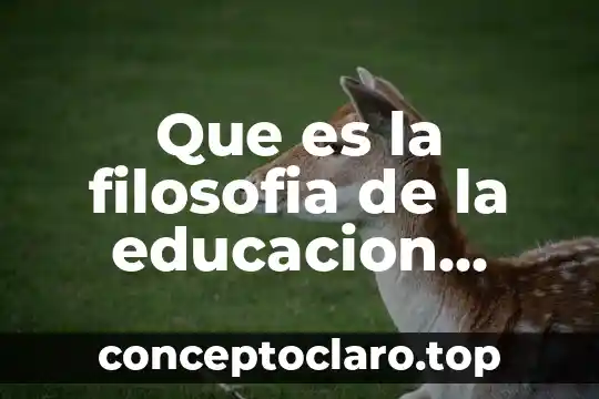 Que es la filosofia de la educacion cuellar 2008