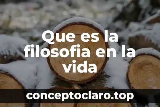 Que es filosofia por separado 4 Que es la filosofia en la vida