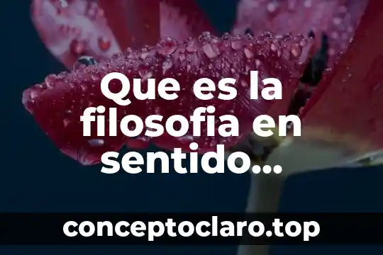 Que es la filosofia en sentido existencial