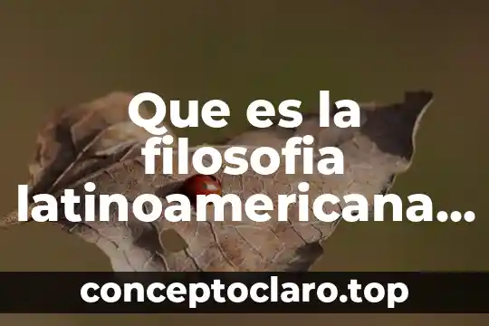 Que es la filosofia latinoamericana definicion