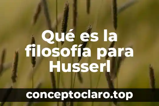 Metodologia filosofia que es 4 Qué es la filosofía para Husserl