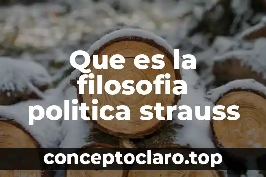 Que es la filosofia politica strauss
