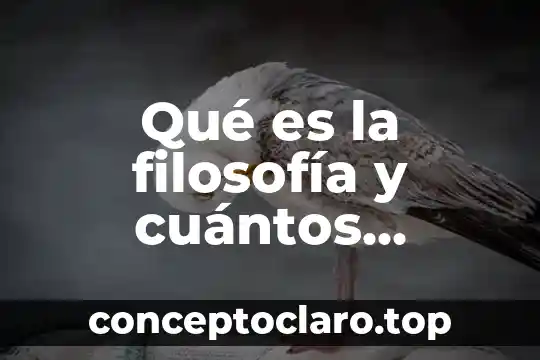 Qué es innovación y cuántos tipos de INPs existen 8 Qué es la filosofía y cuántos pensadores