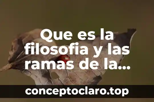 Que es la filosofia y las ramas de la filosofia