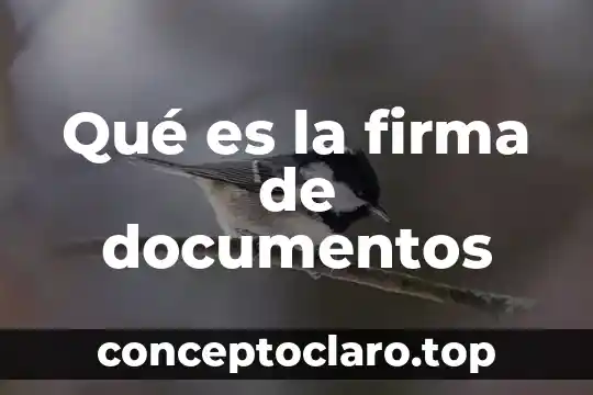 Firma electronica conacyt que es 8 Qué es la firma de documentos