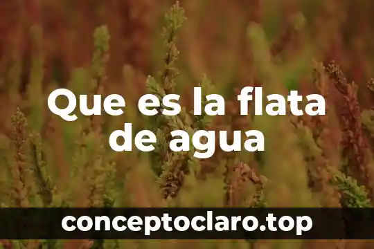 Válvula de agua que es 6 Que es la flata de agua