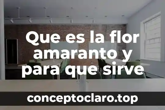 Que es petalos parte de la flor 5 Que es la flor amaranto y para que sirve