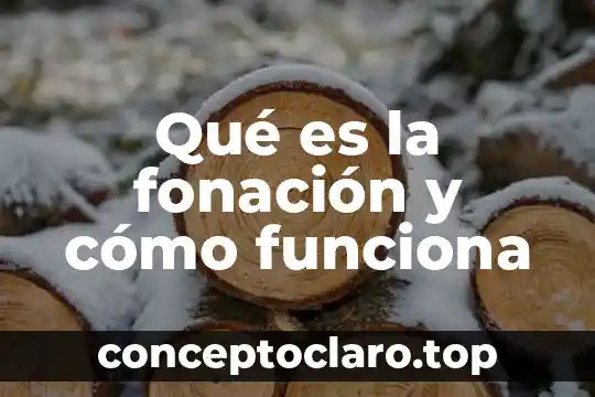 Que es y como funciona el tarot 8 Qué es la fonación y cómo funciona