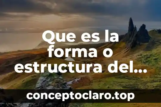 Establece que es posible establecer una estructura financiera óptima 3 Que es la forma o estructura del pensamiento