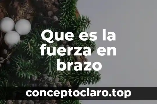 Que es la fuerza de empuje o flotacion 8 Que es la fuerza en brazo