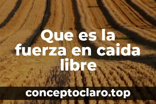 Que es la fuerza en caida libre