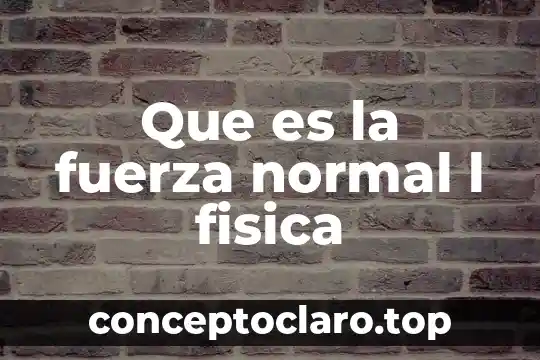 Que es la fuerza normal l fisica