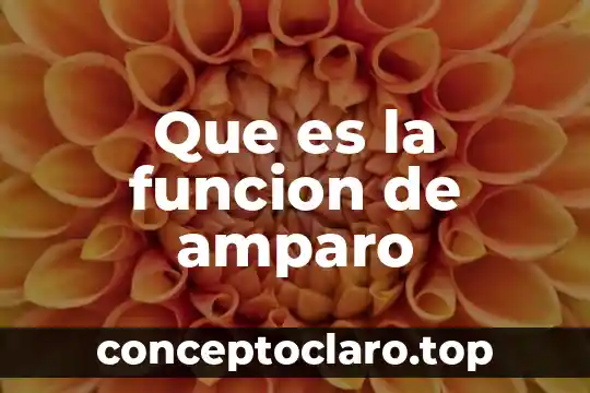 Qué es derecho amparo 3 Que es la funcion de amparo
