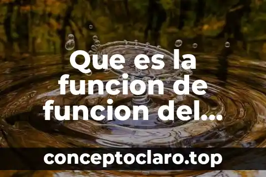 Que es la funcion de funcion del ingreso