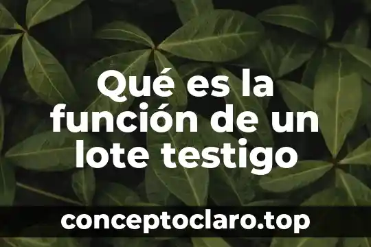 Para que es necesario calcular el lote económico de compra 4 Qué es la función de un lote testigo