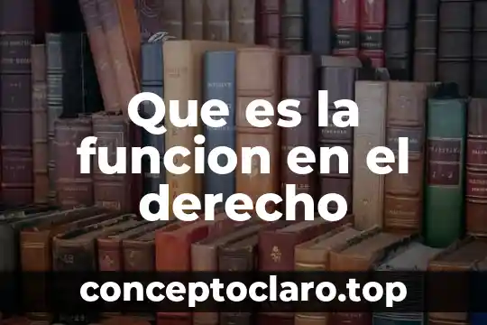 Que es la funcion en el derecho