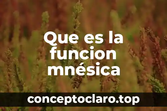 Que es la funcion mnésica