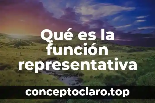 Qué es la función representativa