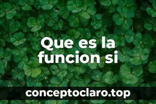 Que es la funcion si