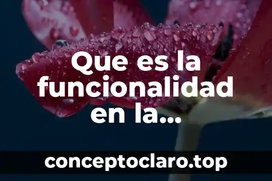 Que es la funcionalidad en la arquitectura