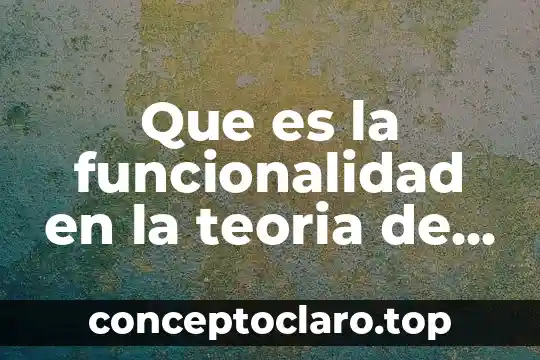 Que es la funcionalidad en la teoria de sistemas