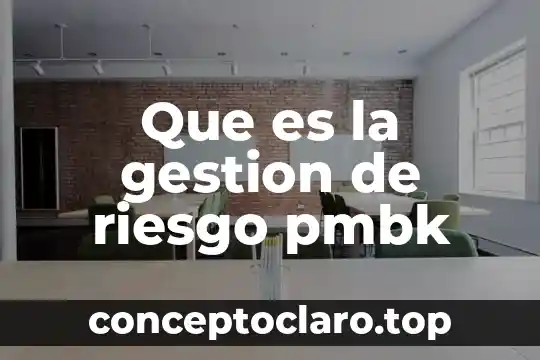 Que es la gestion de riesgo pmbk