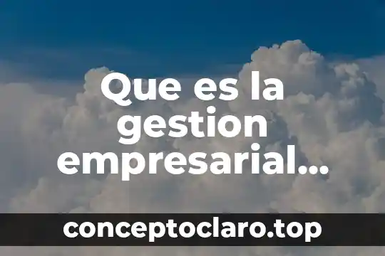 Que es la gestion empresarial libro