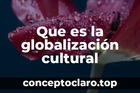 Que es la globalización cultural