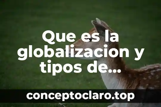 Que es la globalizacion y tipos de globalizacion