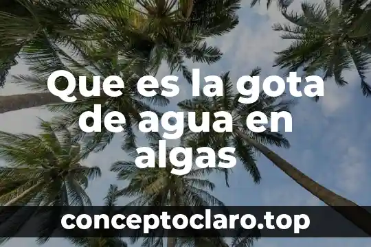 Que es una pistola de agua 6 Que es la gota de agua en algas