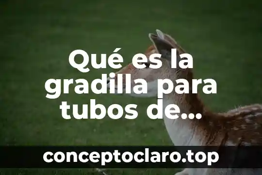 Qué es la gradilla para tubos de ensayo