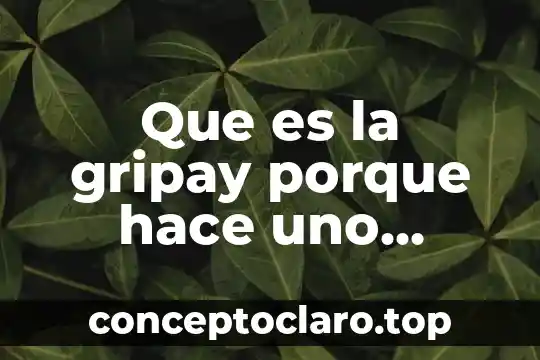 Que es la gripay porque hace uno mucha mocosidad