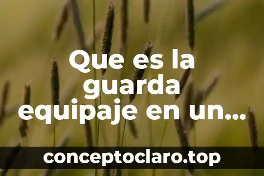 Que es la guarda equipaje en un concepto