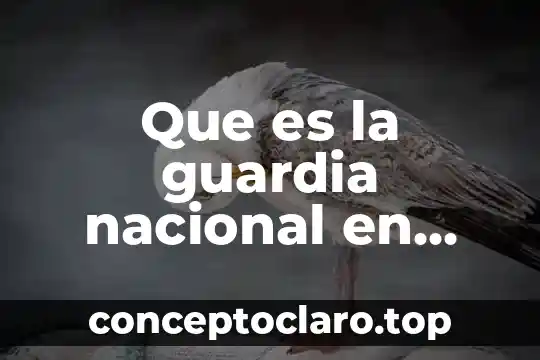 Que es la guardia nacional en venezuela y mexico
