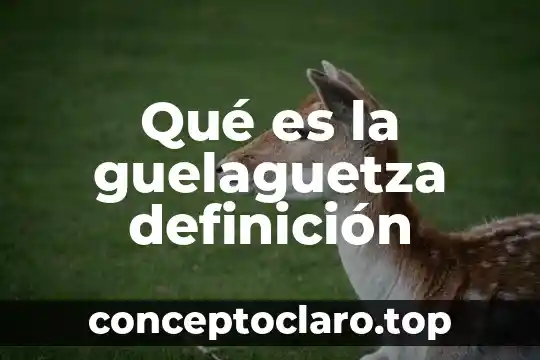 Qué es la guelaguetza definición
