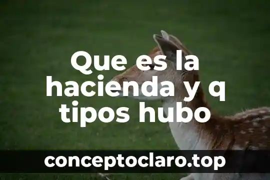 Que es la hacienda y q tipos hubo