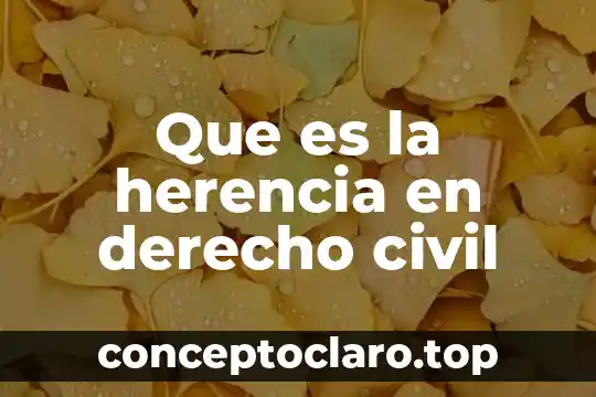 Que es la adopcion segun el codigo civil ecuatoriano 5 Que es la herencia en derecho civil
