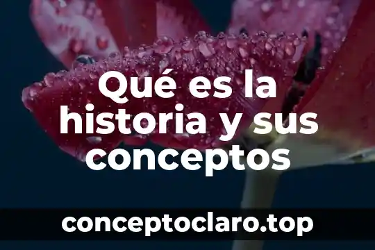 Qué es plástico significado y conceptos 5 Qué es la historia y sus conceptos