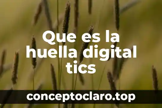 Que es firma digital en grafoscopia 4 Que es la huella digital tics