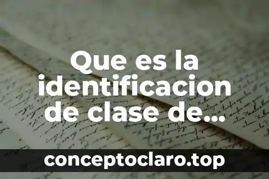 Qué es número de identificación de la auditoría 7 Que es la identificacion de clase de objeto